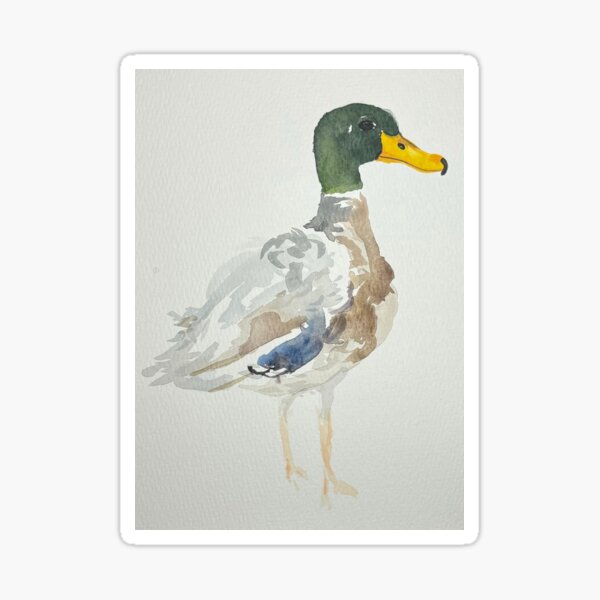 Artikel-Vorschau von Stockente Aquarellmalerei, designt und verkauft von Kierra's Creations.