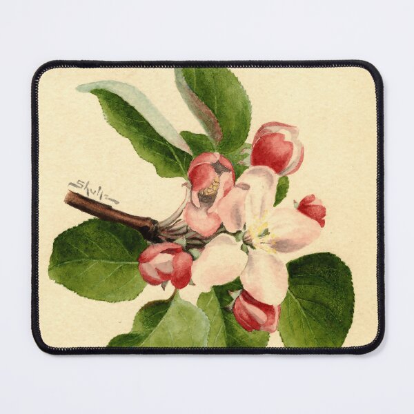 Item preview, Vintage Botanical Prints - Malus domestica from Agriculture Pomological Watercolor Collection (1910) designed and sold by Douglas E. Welch Design and Photography.