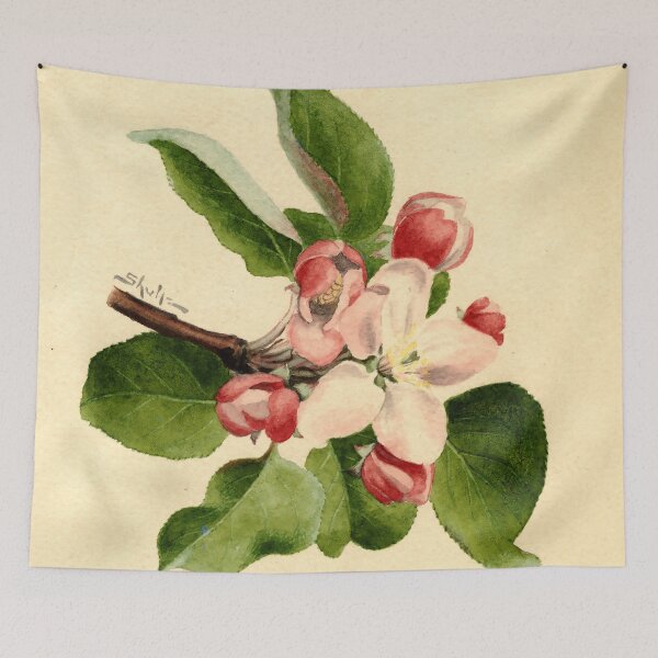 Item preview, Vintage Botanical Prints - Malus domestica from Agriculture Pomological Watercolor Collection (1910) designed and sold by Douglas E. Welch Design and Photography.