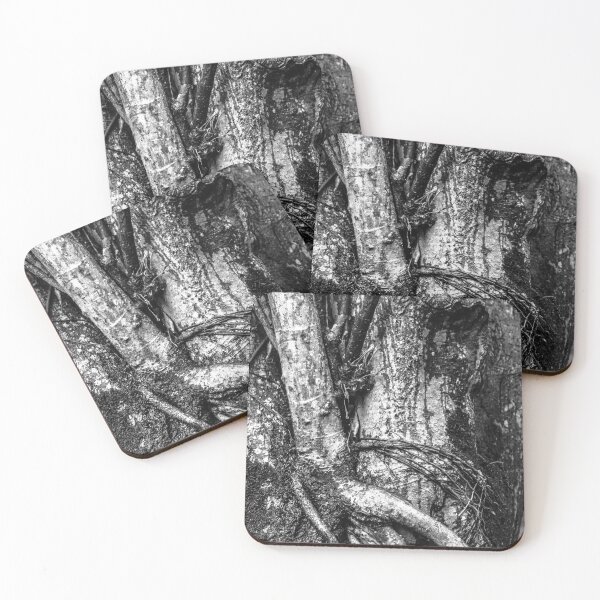 Item preview, trunk with vine. designed and sold by Nino rocha fotografia.