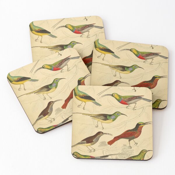 Item preview, Sunbird Vintage Illustrations designed and sold by CoconutArt10.