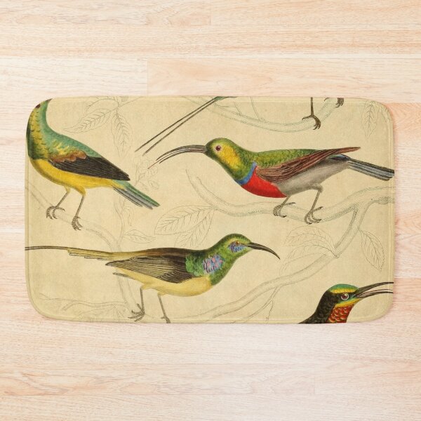 Item preview, Sunbird Vintage Illustrations designed and sold by CoconutArt10.
