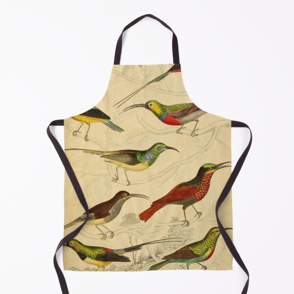 Item preview, Sunbird Vintage Illustrations designed and sold by CoconutArt10.