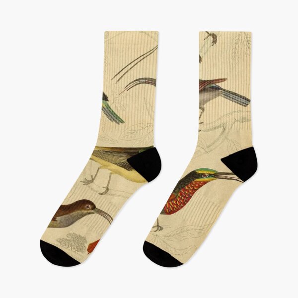 Item preview, Sunbird Vintage Illustrations designed and sold by CoconutArt10.