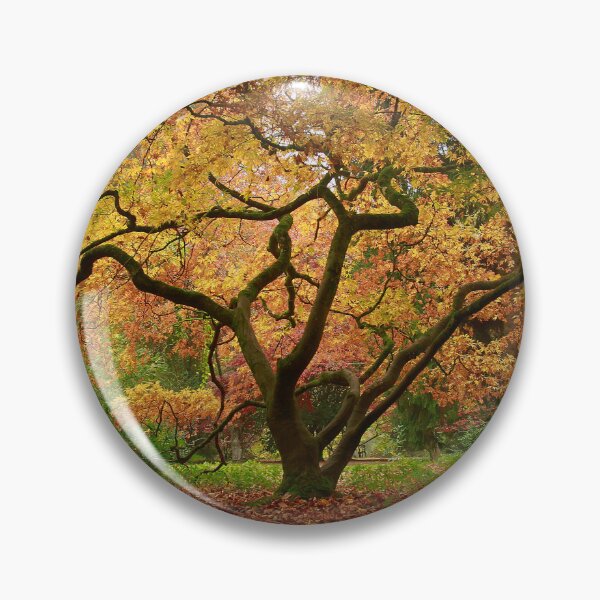 Item preview, The beauty of trees designed and sold by miradorpictures.