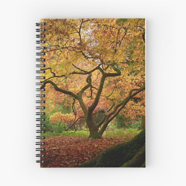 Item preview, The beauty of trees designed and sold by miradorpictures.