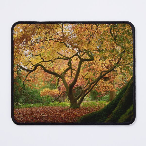 Item preview, The beauty of trees designed and sold by miradorpictures.