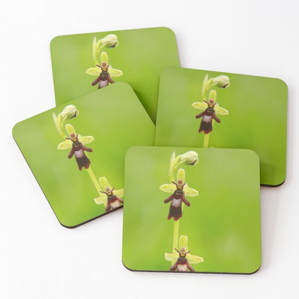 Item preview, Fly orchid designed and sold by miradorpictures.