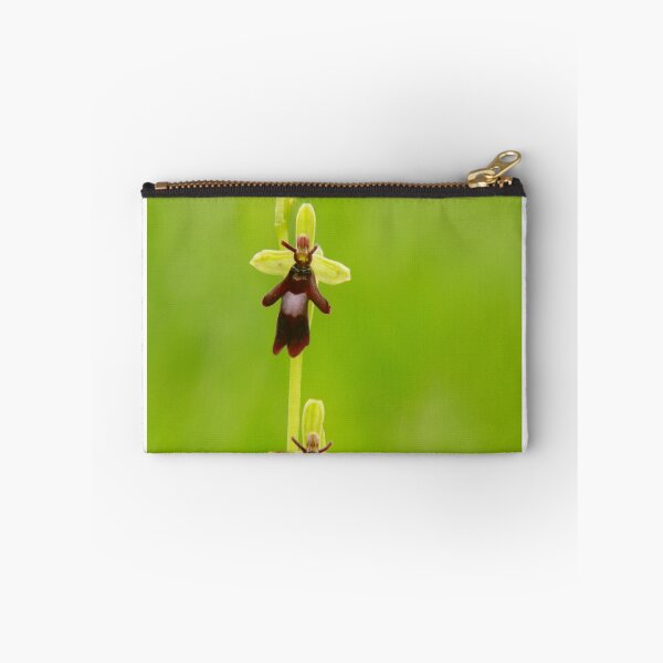 Item preview, Fly orchid designed and sold by miradorpictures.