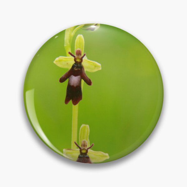 Item preview, Orchid rising  designed and sold by miradorpictures.