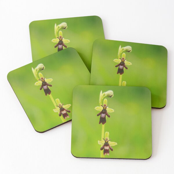 Item preview, Orchid rising  designed and sold by miradorpictures.