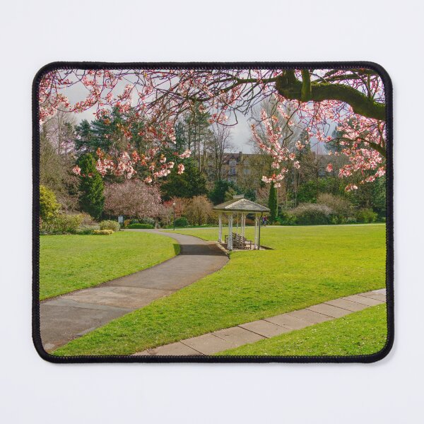 Item preview, Valley Gardens Harrogate designed and sold by Alisonchambers2.