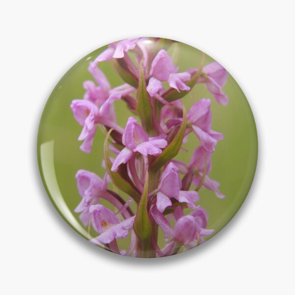 Item preview, Fragrant orchid  designed and sold by miradorpictures.