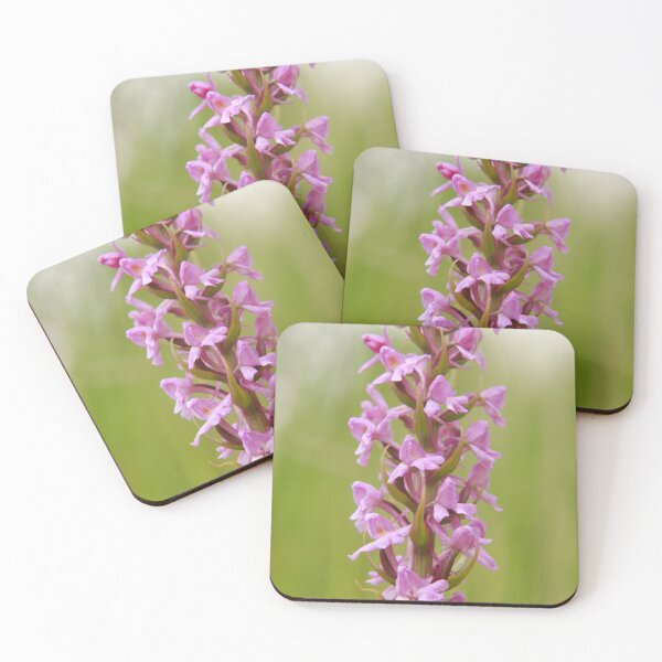 Item preview, Fragrant orchid  designed and sold by miradorpictures.