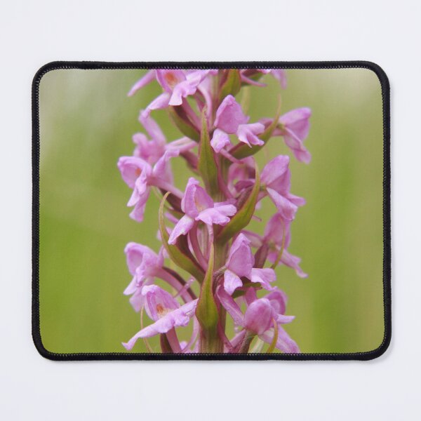 Item preview, Fragrant orchid  designed and sold by miradorpictures.