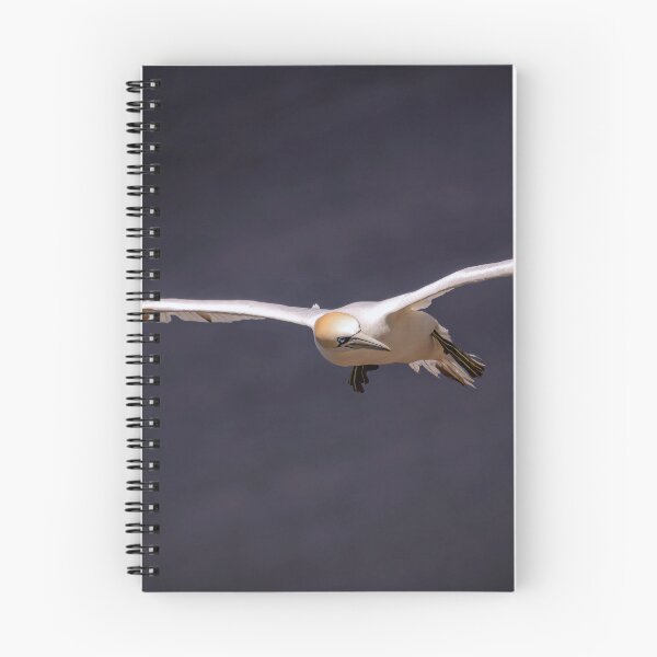 Item preview, Gannet in Flight designed and sold by Tom McPherson Photography.