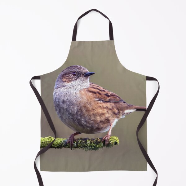 Item preview, Dunnock designed and sold by Tom McPherson Photography.
