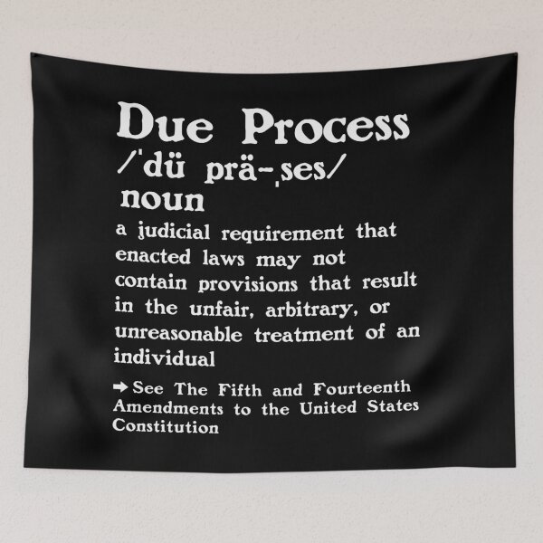 Item preview, The Definition of Due Process designed and sold by Unhinged Heather.