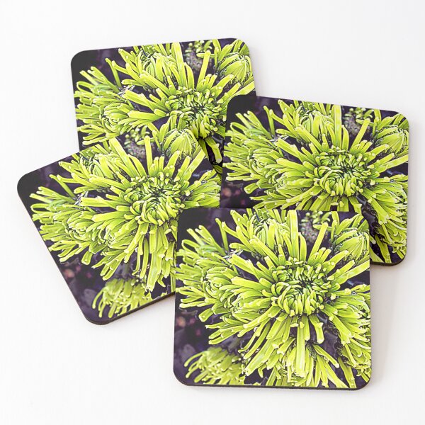 Item preview, Spider Mums Symbolize Longevity, Joy, and Rebirth! designed and sold by SL Timeless Moments .