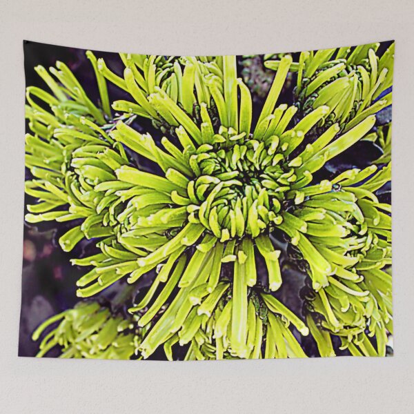 Item preview, Spider Mums Symbolize Longevity, Joy, and Rebirth! designed and sold by SL Timeless Moments .