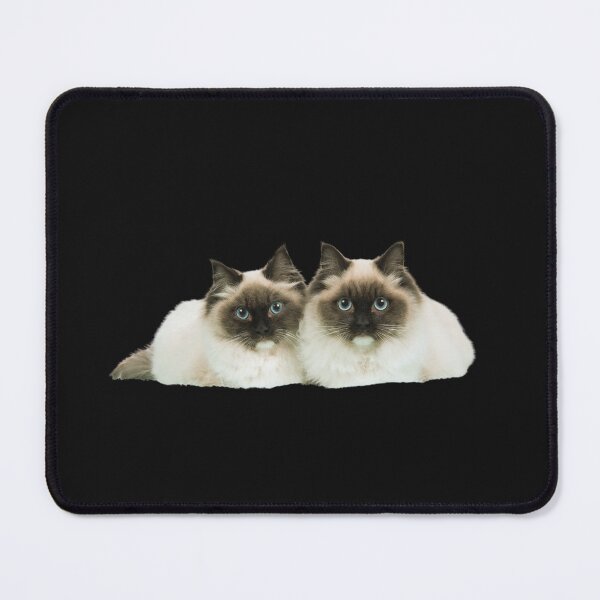 Item preview, Two Cute Kittens designed and sold by LuigiDesigns61.