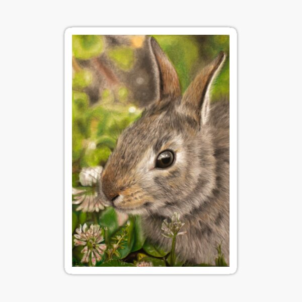 Spring Bunny Sticker