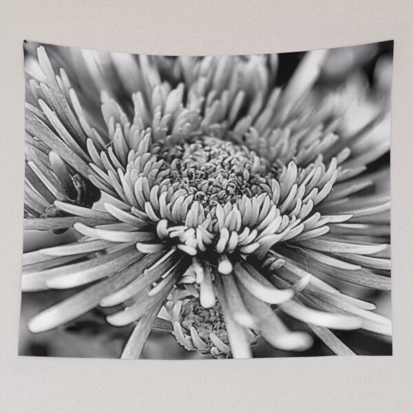 Item preview, Black and White Chrysanthemum designed and sold by SL Timeless Moments .