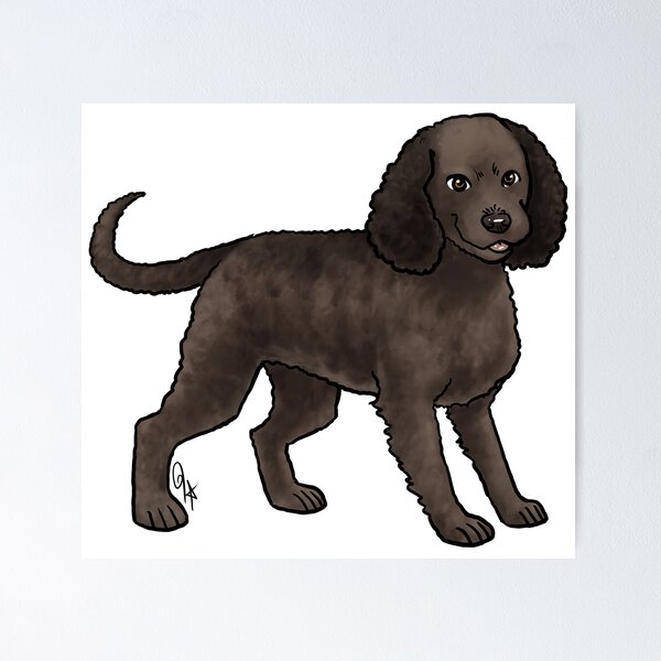 Item preview, Dog - American Water Spaniel - Liver designed and sold by Jennifer Stolzer.