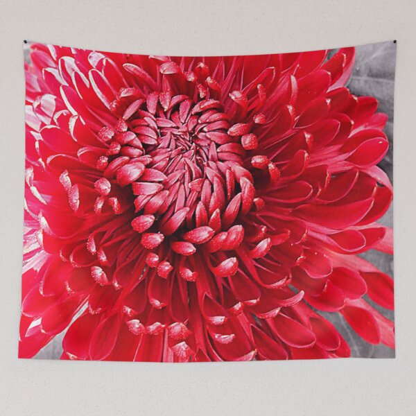 Item preview, An Unique and Striking Perspective of A Red Chrysanthemum designed and sold by SL Timeless Moments .