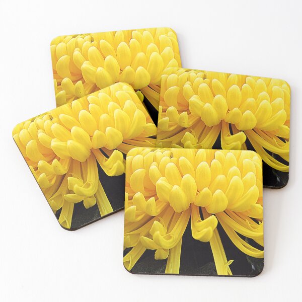 Item preview, Yellow Chrysanthemums Convey Warmth, Affection, and A Sense of Vitality. designed and sold by SL Timeless Moments .