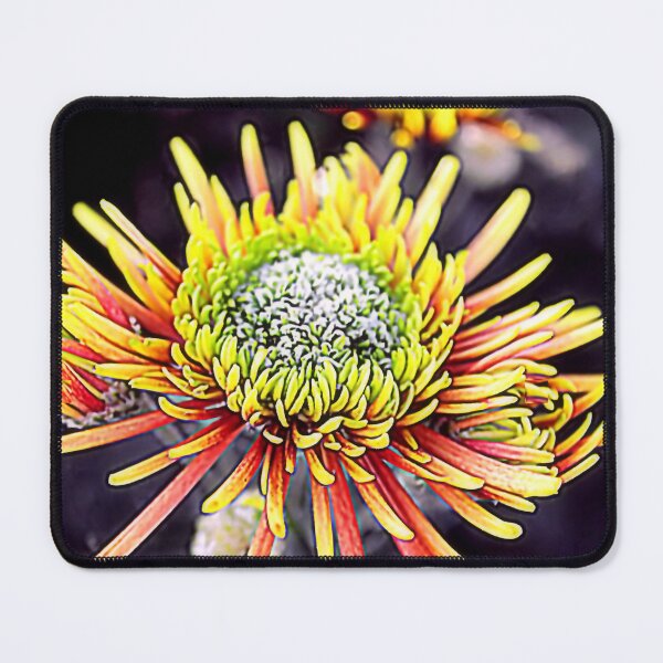 Item preview, Yellow Chrysanthemums Symbolize Happiness, Friendship, and Well-being. designed and sold by SL Timeless Moments .