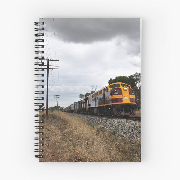 Item preview, 20250328 Diesel 42101, Olympic Highway, Australia designed and sold by muz2142.