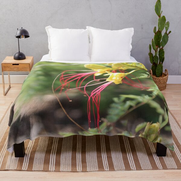 Item preview, Desert Bird of Paradise Bloom – Vibrant Yellow & Red Wildflower Photography designed and sold by John-NW-Shop.