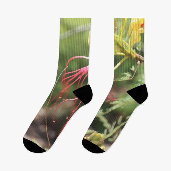 Item preview, Desert Bird of Paradise Bloom – Vibrant Yellow & Red Wildflower Photography designed and sold by John-NW-Shop.