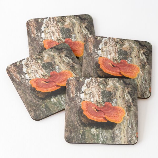 Item preview, Beautiful  Tree Fungus designed and sold by heatherfriedman.