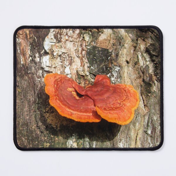 Item preview, Beautiful  Tree Fungus designed and sold by heatherfriedman.