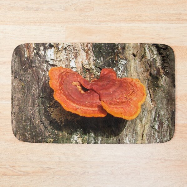 Item preview, Beautiful  Tree Fungus designed and sold by heatherfriedman.