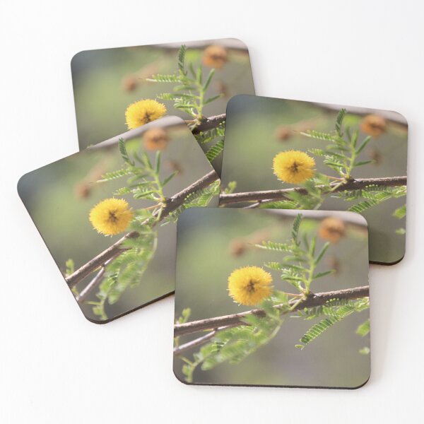 Item preview, Golden Puffball Bloom – Mesquite Flower Macro Photography designed and sold by John-NW-Shop.