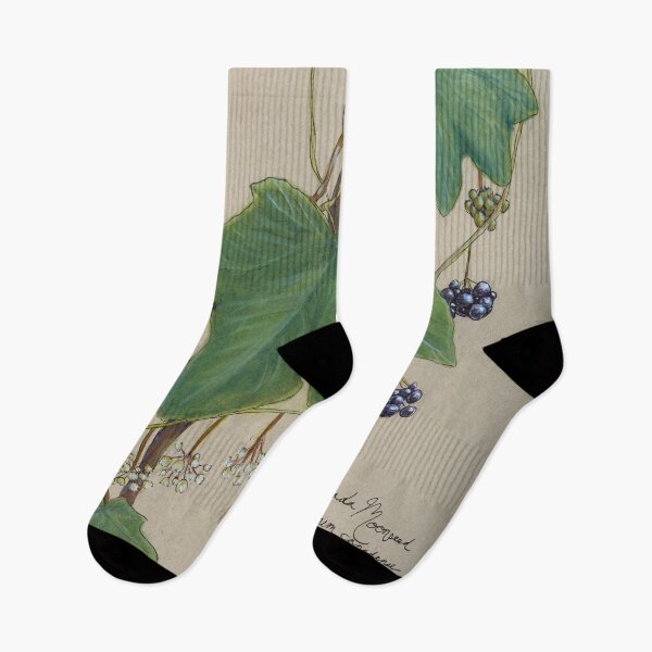 Item preview, Toxic Native Ontario Plant Series: Canada Moonseed Vine designed and sold by vormora-nox.