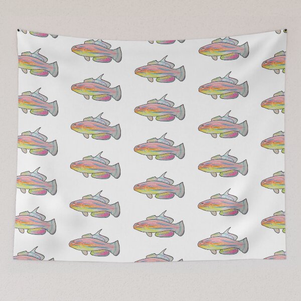 Item preview, McCosker's Flasher Wrasse designed and sold by sirenvulture.