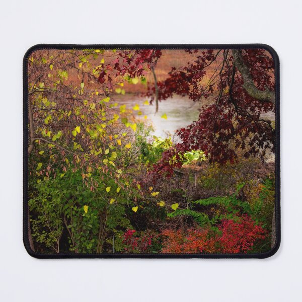 Item preview, Backyard Autumn color designed and sold by Been2Canaan.