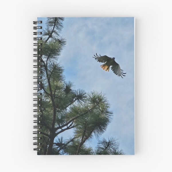 Item preview, Red-tailed Hawk  designed and sold by mcraefriedman.