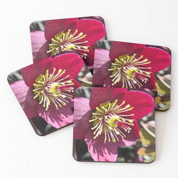 Item preview, Hellebore designed and sold by Betsy Phillips.
