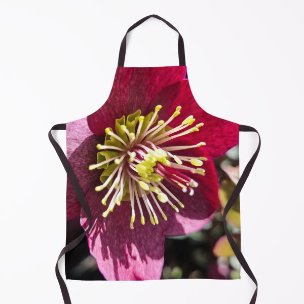 Item preview, Hellebore designed and sold by Betsy Phillips.