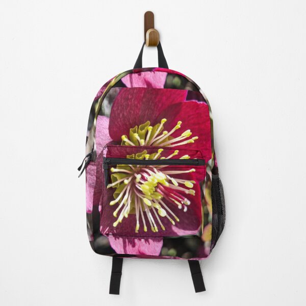 Item preview, Hellebore designed and sold by Betsy Phillips.