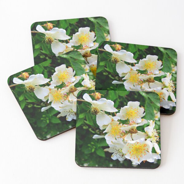 Item preview, ROSA MULTIFLORA  designed and sold by JoAnnHayden.