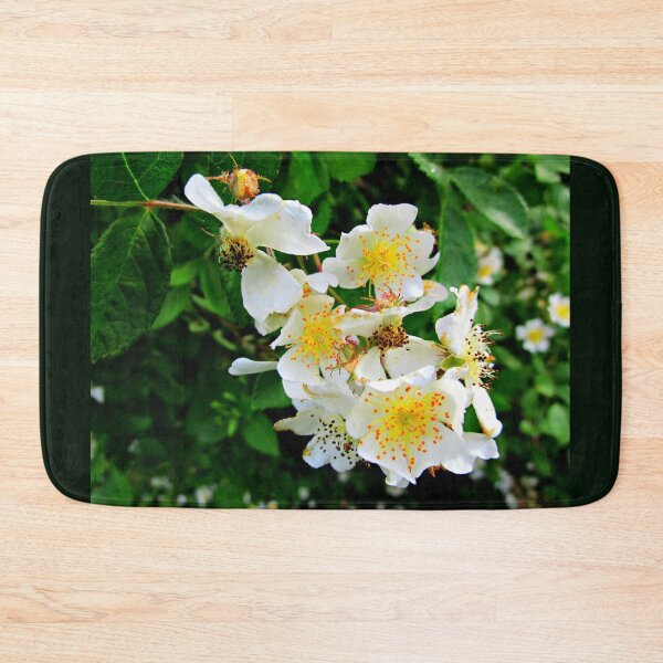 Item preview, ROSA MULTIFLORA  designed and sold by JoAnnHayden.