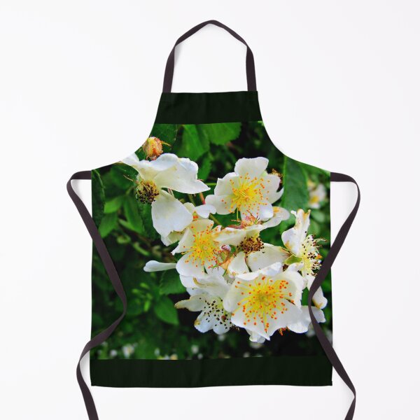 Item preview, ROSA MULTIFLORA designed and sold by JoAnnHayden.