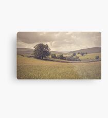 Lonely Landscape - Westmoreland Dales Metal Print