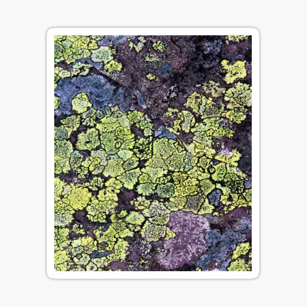 Item preview, lichen designed and sold by KathleenDawson.